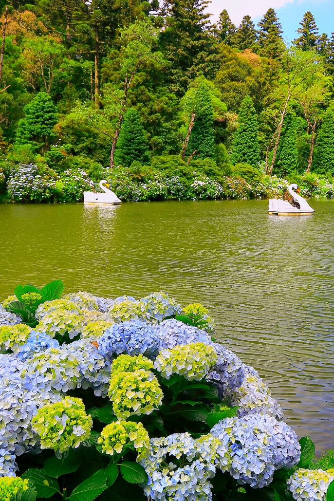 lago_negro